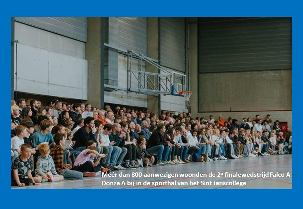 artikel banner